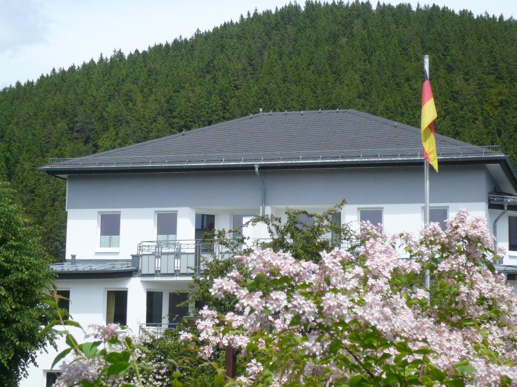Fewo Penthaus-Blick Willingen  Esterno foto